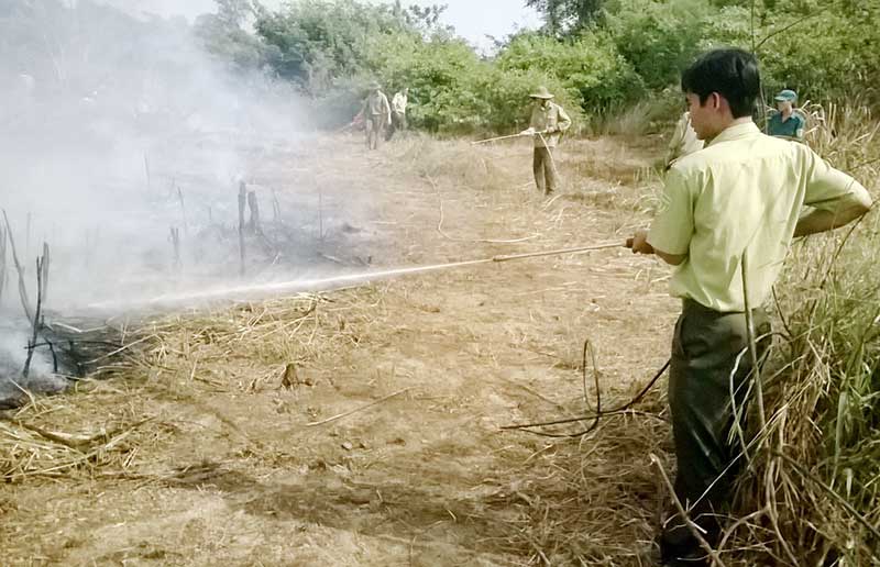 B&ugrave; đốp: diễn tập chống ch&aacute;y rừng