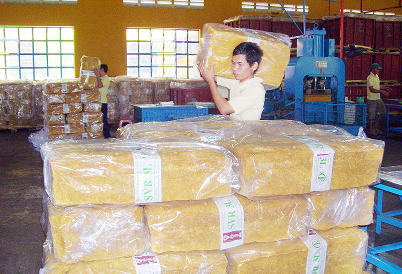 Hiệp hội cao su Việt Nam khuyến cáo: Giảm lượng khai thác để nâng giá