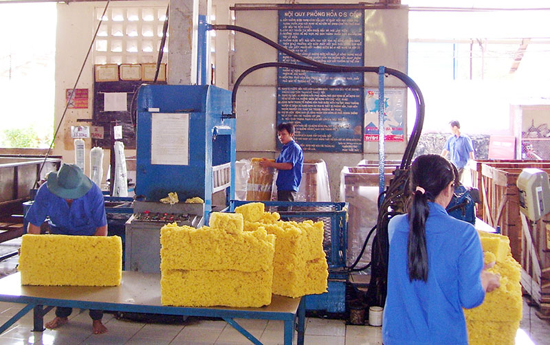 Năm 2013, xuất khẩu cao su tăng về lượng nhưng giảm giá trị