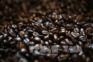 Giá càphê thế giới tăng mạnh do hạn hán ở Brazil
