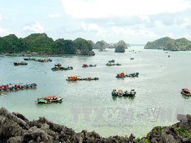 Cứu nạn an toàn 58 hành khách gặp sự cố ở biển Cát Bà