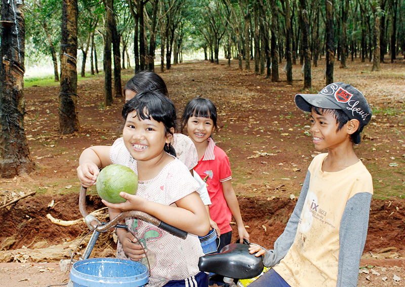 Câu chuyện đẹp của người mót mủ