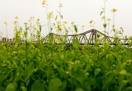 Phải ưu tiên văn hóa lịch sử