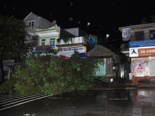 Siêu bão Hải Yến: Cây đổ ngổn ngang, mất điện toàn Hạ Long