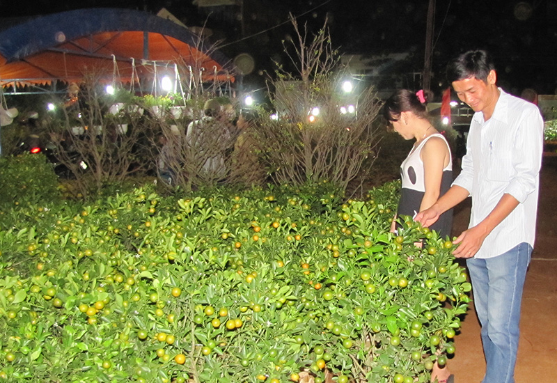 Tự ý ngắt hoa ở công viên sẽ bị phạt