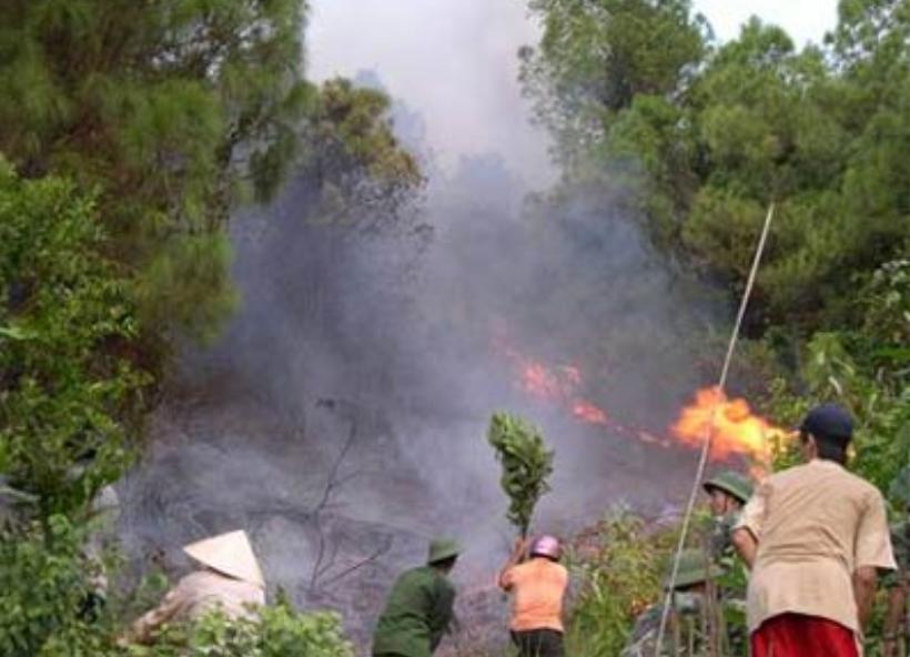 Tổ chức lực lượng trực 24/24 giờ để phòng chống cháy rừng