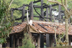 Đền thờ Lê Lai ở tỉnh Thanh Hóa bị lửa thiêu rụi