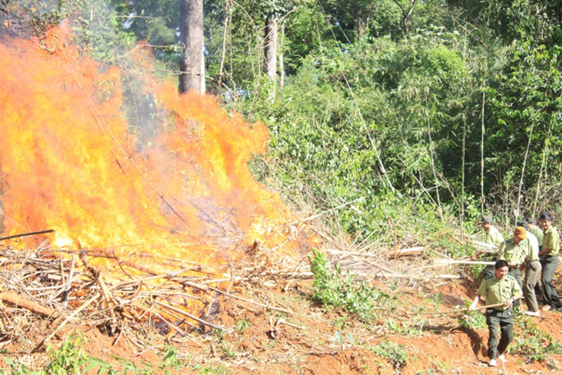 Tr&aacute;ch nhiệm mua bảo hiểm ch&aacute;y, nổ bắt buộc