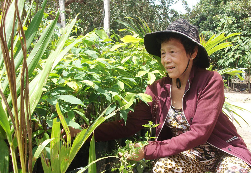 Chi hội phụ nữ ấp 4, xã Minh Long: Xây dựng nhiều quỹ giúp nhau phát triển kinh tế