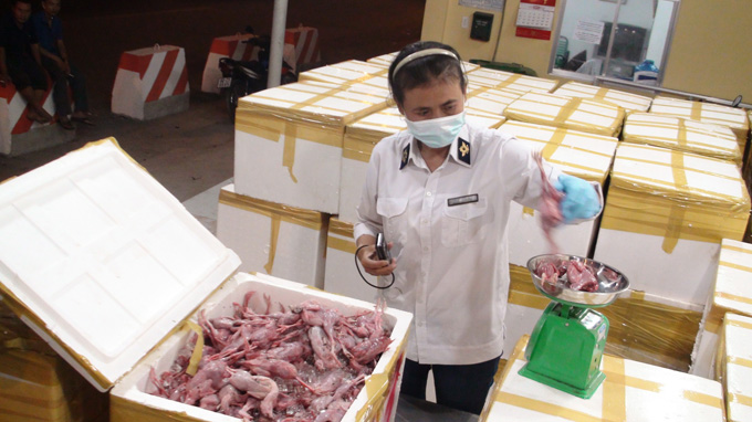 Bắt xe đ&ocirc;ng lạnh chở 3 tấn chim c&uacute;t thối