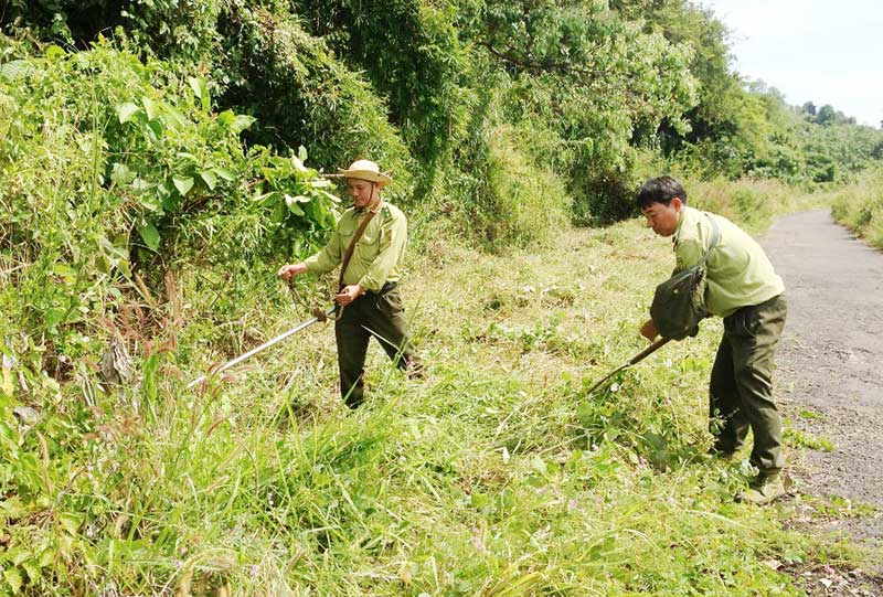 Thị xã Phước Long đẩy mạnh công tác bảo vệ rừng Bà Rá