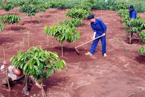 Vẫn ký quyết định sa thải người đã chết cách đây 16 năm