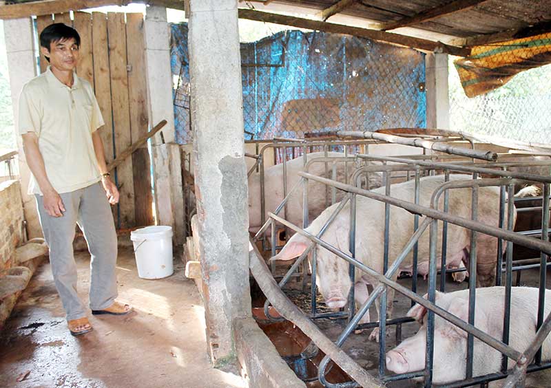 Chuyện nhà nông làm giàu