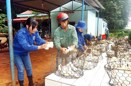 C&ocirc;ng đo&agrave;n c&ocirc;ng ty TNHH MTV cao su Ph&uacute; Riềng: Nhiều ch&iacute;nh s&aacute;ch chăm lo đời sống người lao động