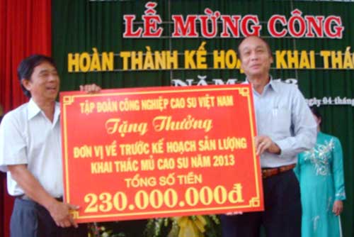 Hoàn thành kế hoạch khai thác mủ năm 2013