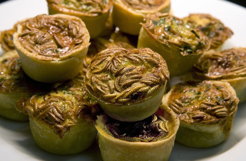 Sơn hào hải vị từ côn trùng