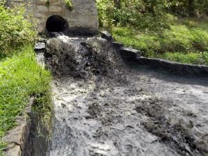 Xử lý triệt để các cơ sở gây ô nhiễm nghiêm trọng