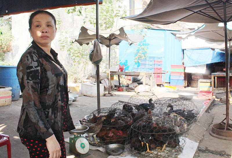 Lao đao vì dịch cúm gia cầm