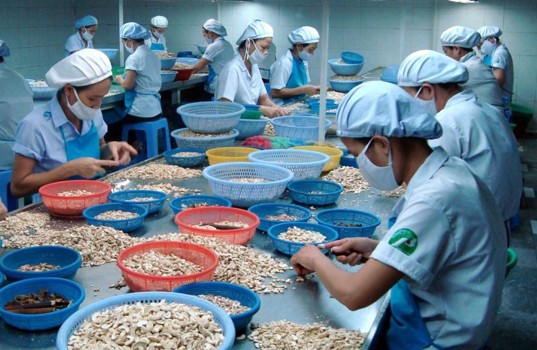 9 giải pháp thúc đẩy phát triển kinh tế - xã hội quý II