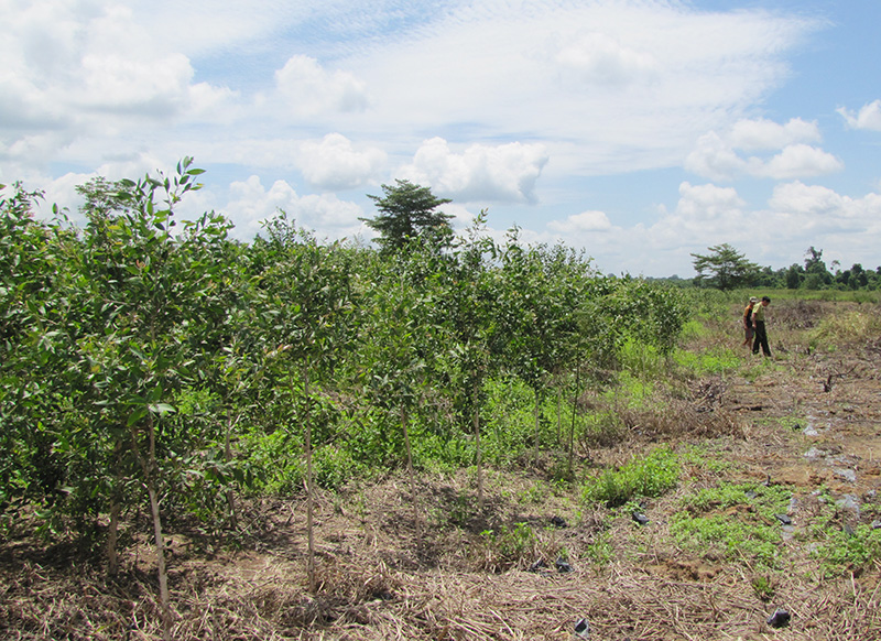  C&ocirc;ng khai phải đi liền với minh bạch