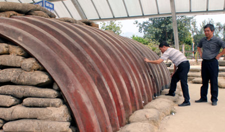 Điện Bi&ecirc;n Phủ - mu&ocirc;n phương tụ hội