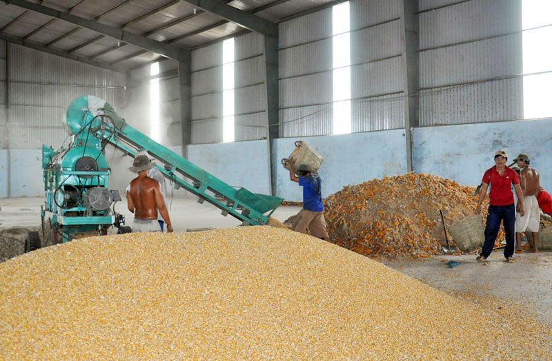 Kiên quyết xử lý các trường hợp chây ì, nợ thuế quá hạn