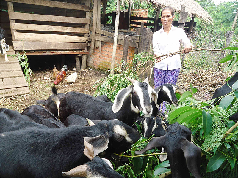 B&agrave; Phạm Thị Hi&ecirc;n - Phụ nữ xuất sắc