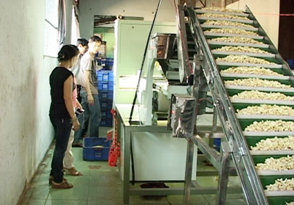 Đề án khuyến công - thêm động lực cho doanh nghiệp