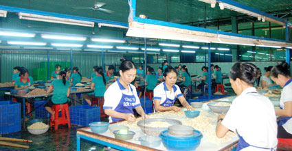 Doanh nghiệp dân doanh Bình Phước: Những khó khăn thời hội nhập