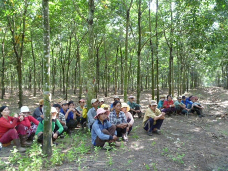 Bộ C&ocirc;ng an kết luận điều tra vụ chiếm đoạt 500 ha cao su ở B&igrave;nh Phước