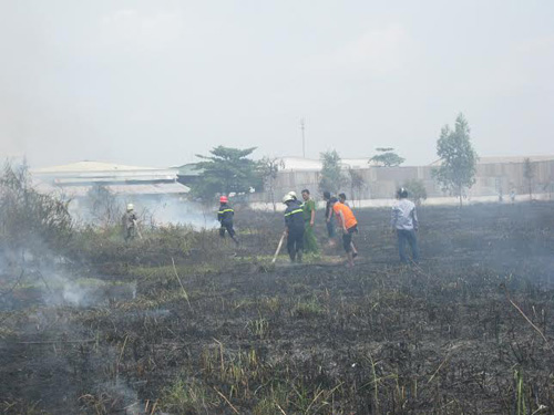 Đốt cỏ khô, gây hỏa hoạn