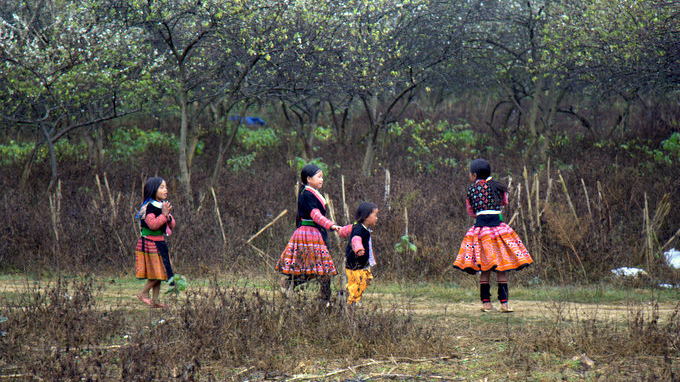 Du xuân rẻ mà vui