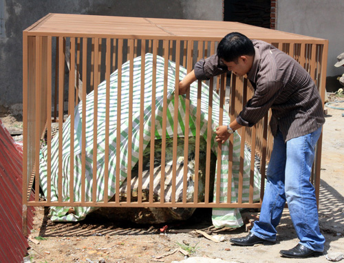 Vụ 'h&ograve;n đ&aacute; bị bắt giam', đại diện Viện KSND tỉnh Gia Lai: Tr&aacute;i luật, tr&aacute;i đạo l&yacute;!