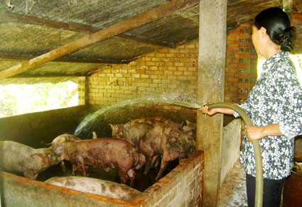 Phụ nữ ấp Thuận Thành 2: Thoát nghèo từ mô hình tổ xoay vòng vốn 