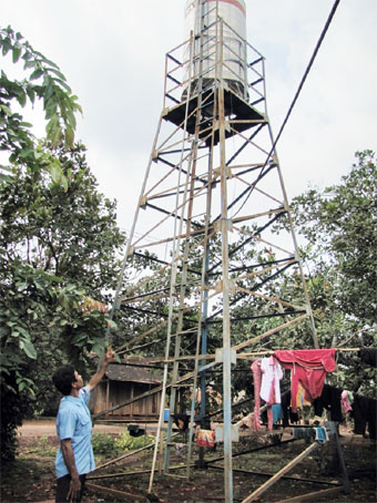 Sớm chia lợi nhuận từ đất li&ecirc;n doanh trồng cao su thuộc chương tr&igrave;nh 134