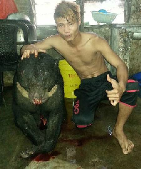 Truy t&igrave;m người khoe ảnh giết gấu tr&ecirc;n Facebook