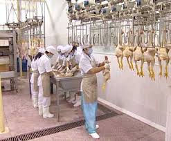 Nh&agrave; nước hỗ trợ doanh nghiệp đầu tư cơ sở giết mổ gia s&uacute;c, gia cầm