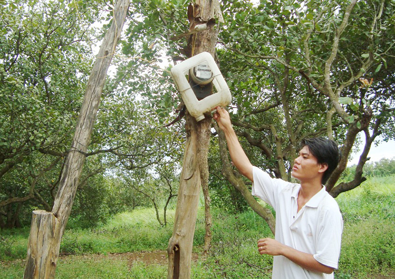 Giữa thị xã Đồng Xoài vẫn khát điện