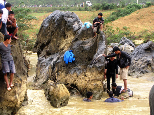 Cha con phát hiện gốc huê 'khủng': Tiếc thì có tiếc nhưng hài lòng...
