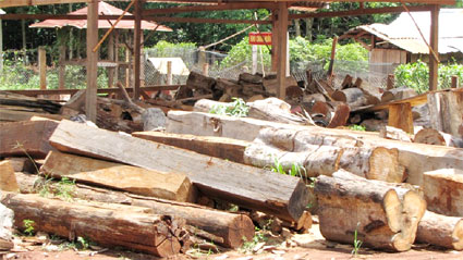 213 doanh nghiệp gặp khó khăn đang cần hỗ trợ