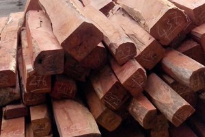 Lại ph&aacute;t hiện vụ chuyển gỗ qu&yacute; qua đường h&agrave;ng kh&ocirc;ng