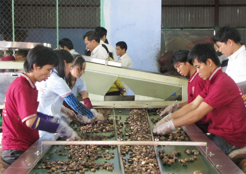 10 tháng, toàn tỉnh thu ngân sách 2.528 tỷ đồng