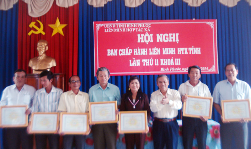 Kết quả hoạt động của tổ hợp tác và hợp tác xã