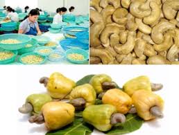 Trung tâm xúc tiến đầu tư hướng tới hợp tác với tổng công ty thương mại Hà Nội