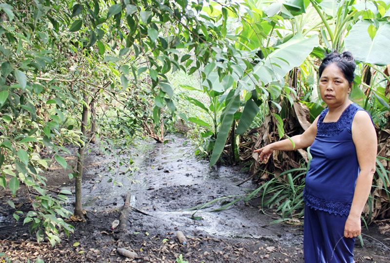 Lò mổ gây ô nhiễm môi trường