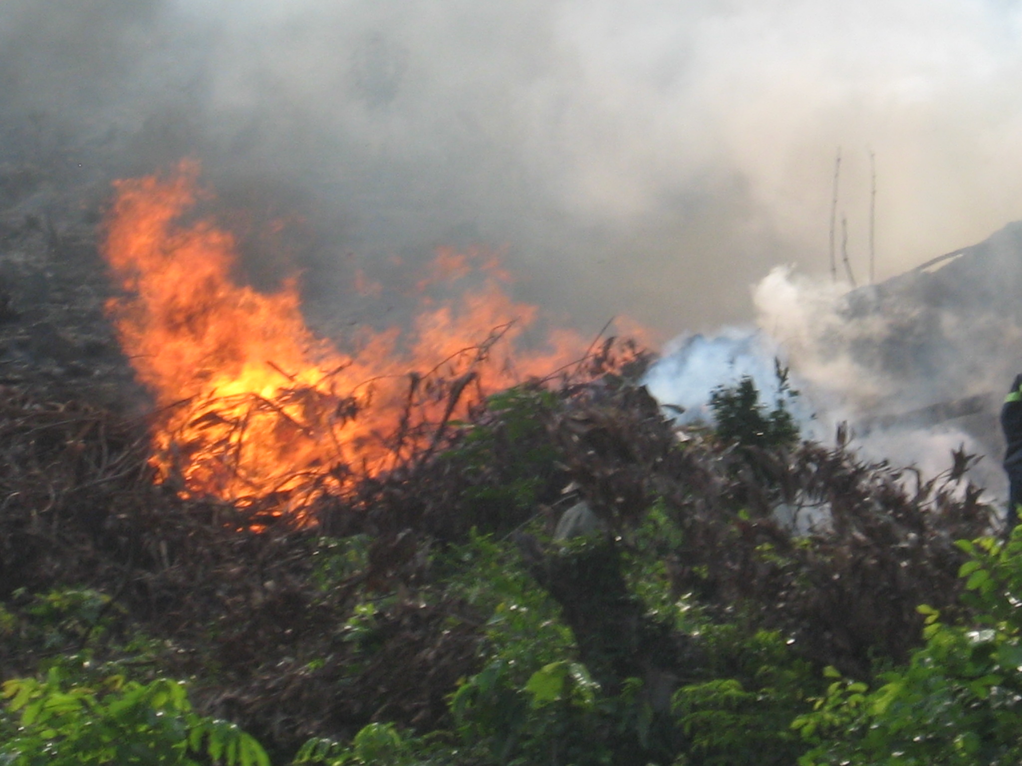 Bình Phước có nguy cơ cháy rừng cấp cực kỳ nguy hiểm