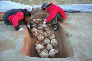 Tìm thấy 80 hộp sọ trong thành phố đồ đá ở Trung Quốc