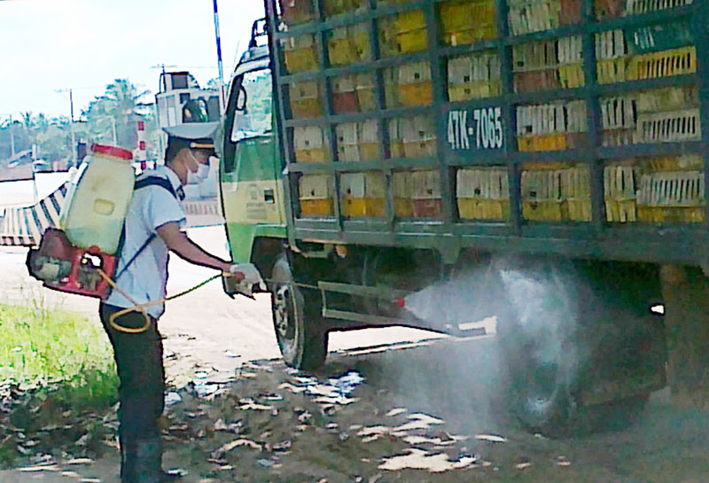 Không thiếu vắc-xin phòng cúm gia cầm