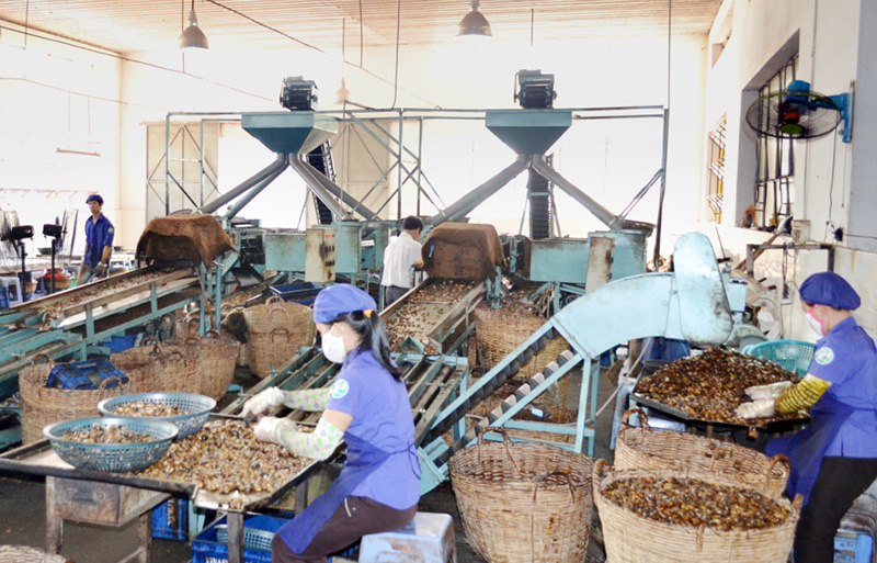 Đề &aacute;n khuyến c&ocirc;ng: Đẩy mạnh ph&aacute;t triển c&ocirc;ng nghiệp nhỏ v&agrave; vừa