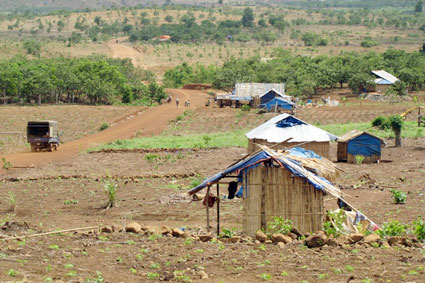 Kinh nghiệm chăm sóc sầu riêng đạt năng suất cao